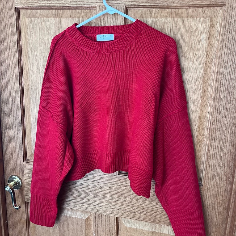 Carly Korie  Red Ribbed oversized Crewneck Sweater NEW